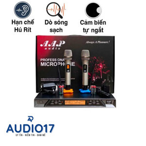 Micro karaoke không dây AAP K900 ii