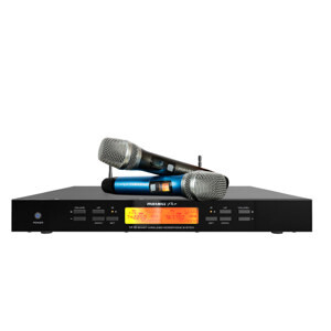 Micro karaoke Paramax Pro M-8