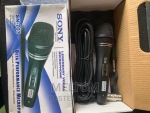 Micro karaoke Sony SN703