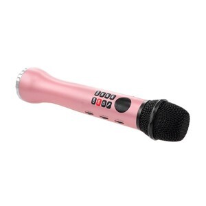 Micro Kèm Loa Bluetooth Karaoke L-598