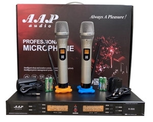 Micro không dây AAP-K500