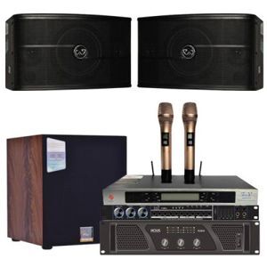 Micro không dây CAF H3 PLUS