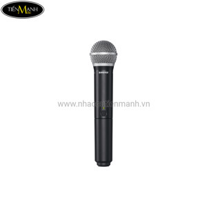 Micro không dây cầm tay Shure SVX 288E/PG58