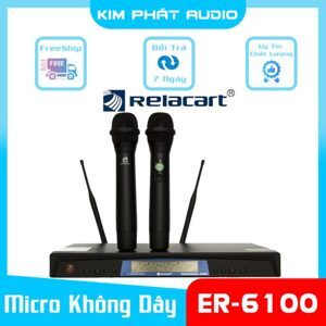 Micro không dây Relacart ER-6100