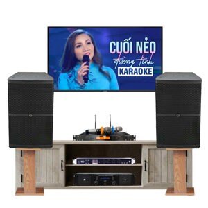 Micro sân khấu Alctron DK1000