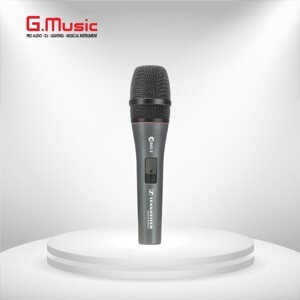 Micro Sennheiser E865S