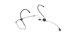 Micro Sennheiser HSP 2