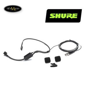 Micro Shure PGA31