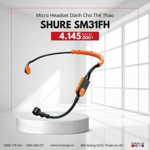 Micro Shure SM31FH