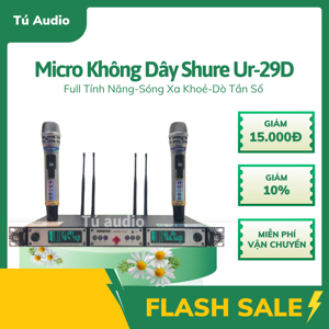 Micro Shure UR29D plus