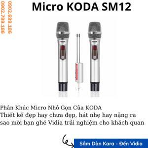 Micro thu âm Takstar SM-12