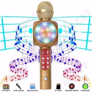 Microphone karaoke kèm loa WS-1816