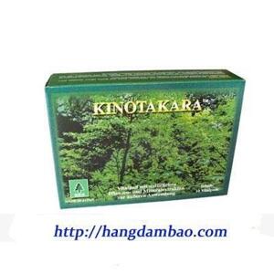 Miếng dán thải độc Kinotakara