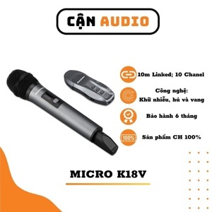 Mirco karaoke Excelvan K18V