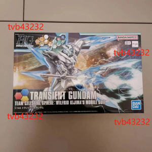 Mô hình Bandai Gundam HGBF Transient
