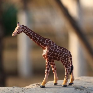 Mô hình hươu cao cổ Safari
