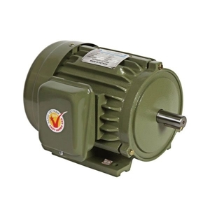 Mô tơ vỏ gang 1.5HP Hồng Ký HKM1514