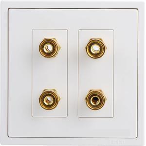 Module ổ cắm đôi loa Simon 705402