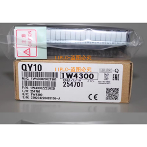 Module Output Mitsubishi QY10