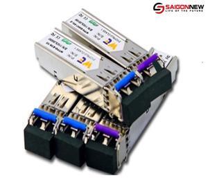 Module quang SFP 10G XFP Wintop YT-XFP-SR