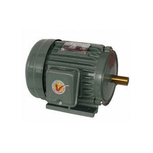 Motor vỏ gang chân đế Hồng Ký HKM314