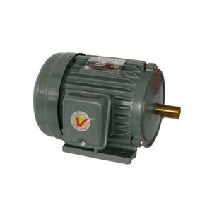 Motor vỏ gang chân đế Hồng Ký HKM334