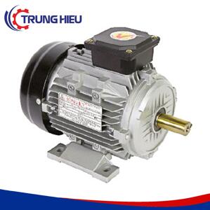 Motor vỏ nhôm chân đế Hồng Ký HKM2034VN