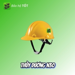 Mũ bảo hộ Thùy Dương N30