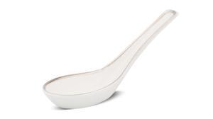 Muỗng – Tulip Ngà – Chỉ Bạch Kim