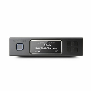 Music Server Aurender N100SC