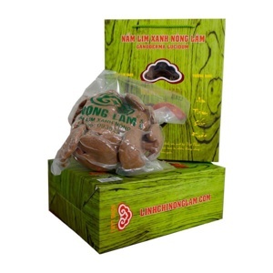 Nấm Lim Xanh Nông Lâm Cao Cấp (250g)
