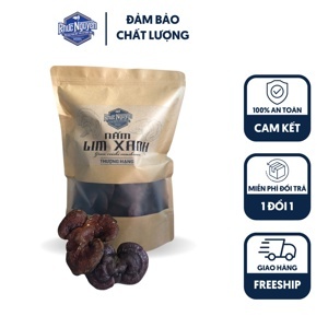 Nấm Lim Xanh Nông Lâm Cao Cấp (500g)