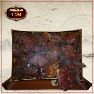 Nấm lim xanh quảng nam loại một 1kg hộp