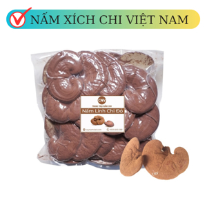 Nấm Linh Chi Đỏ Việt Nam