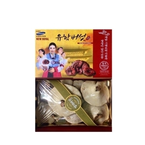 Nấm Linh Chi Hàn Quốc hình cô gái