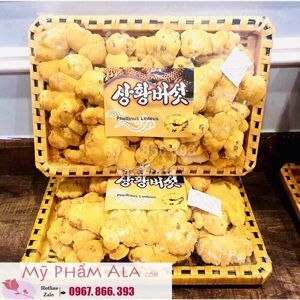 Nấm linh chi Thượng Hoàng Hàn Quốc 1kg