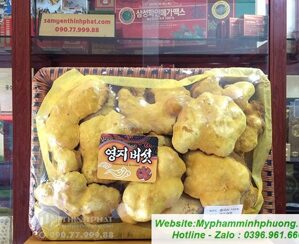Nấm linh chi Thượng Hoàng Hàn Quốc 1kg