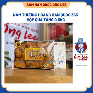 Nấm Thượng Hoàng Hàn Quốc 365 hộp quà tặng 0,5kg