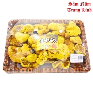 Nấm Thượng Hoàng Thượng Hạng (500g)