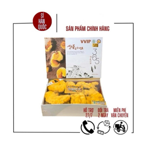 Nấm Thượng Hoàng Thượng Hạng (500g)