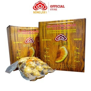 Nấm Thượng Hoàng Thượng Hạng (500g)