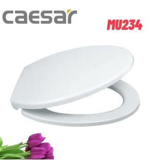 Nắp bàn cầu Caesar MU234