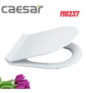 Nắp bàn cầu Caesar MU237