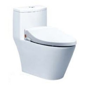 Nắp bàn cầu đa năng Caesar TAF050