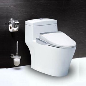 Nắp bàn cầu điện tử Caesar TAF200H