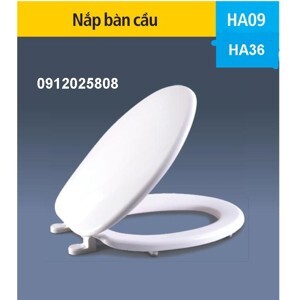 Nắp bàn cầu HA09T