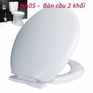 Nắp bàn cầu rơi êm HA05