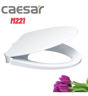 Nắp bồn cầu Caesar M221