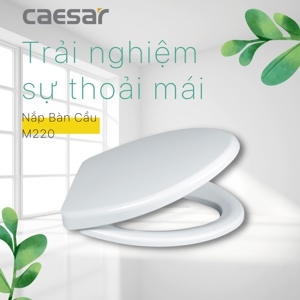 Nắp bồn cầu Caesar M232