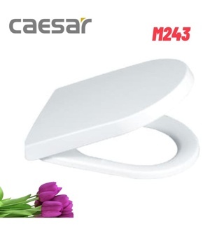 Nắp bồn cầu Caesar M243